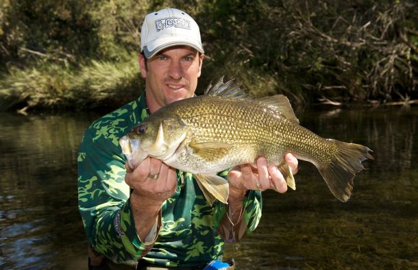 Senator Ron Boswell Pic: Jim Harnwell